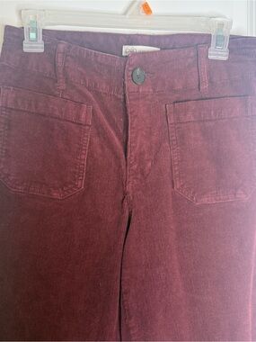 Cato Wine Corduroy Pants